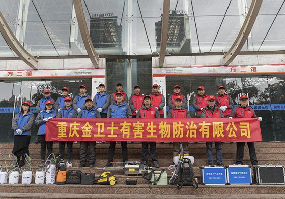 散白蟻侵害現(xiàn)代建筑，如何有效進(jìn)行白蟻防治處理