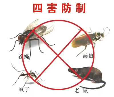 消殺公司怎么看專業(yè)不專業(yè)？